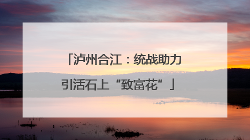 泸州合江：统战助力引活石上“致富花”